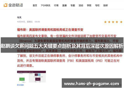 赵鹏谈欠薪问题五大关键要点剖析及其背后深层次原因解析